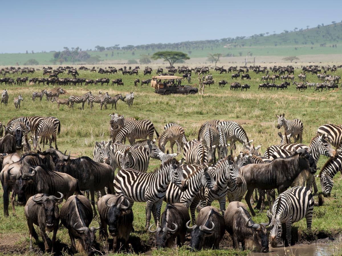 One Nature Nyaruswiga Serengeti Banagi Εξωτερικό φωτογραφία