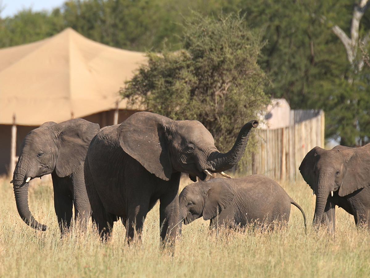 One Nature Nyaruswiga Serengeti Banagi Εξωτερικό φωτογραφία